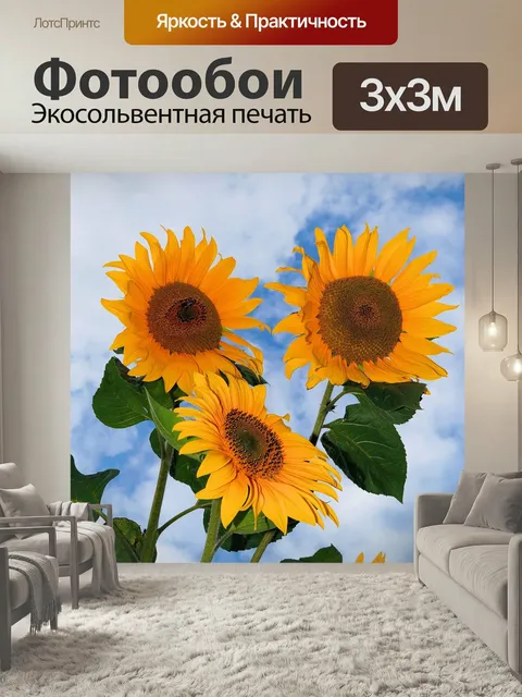 Фотообои Подсолнухи, расцветает, желтый