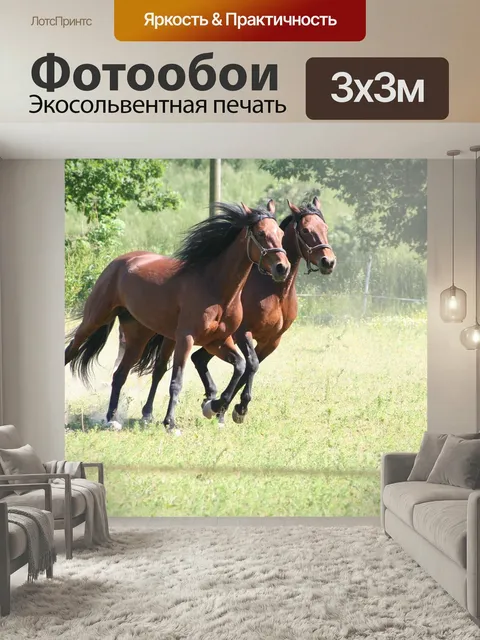 Фотообои Лошади, галопом, бегущие лошади