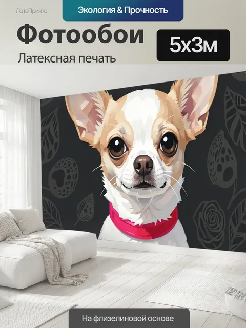 500 × 300 см · Латексная печать