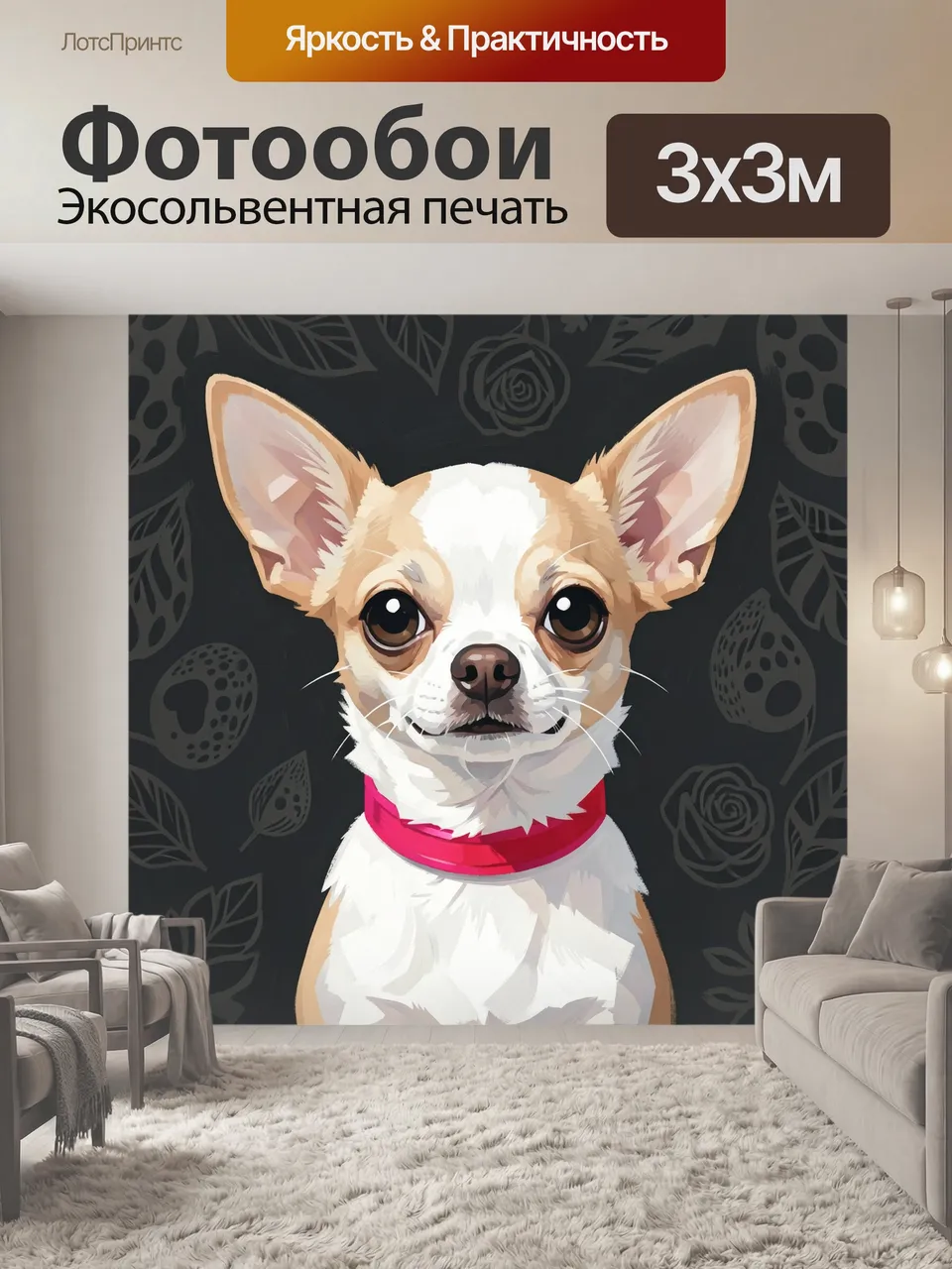 Фотообои Чихуахуа с розовым ошейником. Маленькая карликовая собака, большие уши, выразительные карие глаза. Ци…