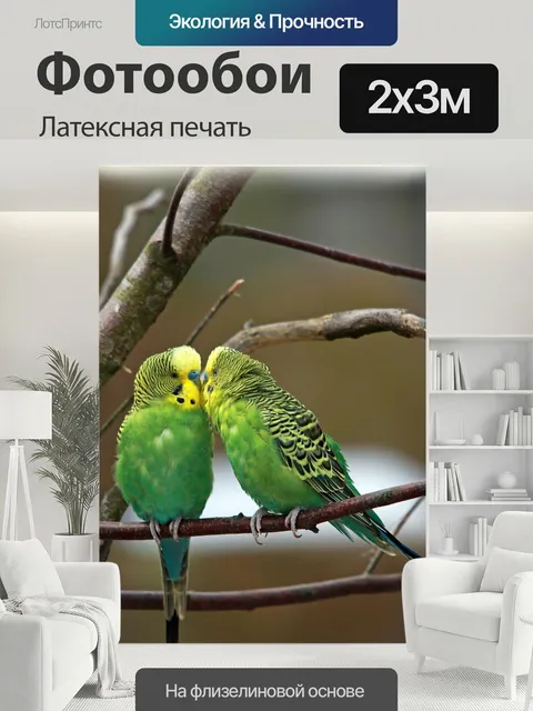 200 × 300 см · Латексная печать