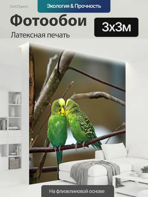 300 × 300 см · Латексная печать