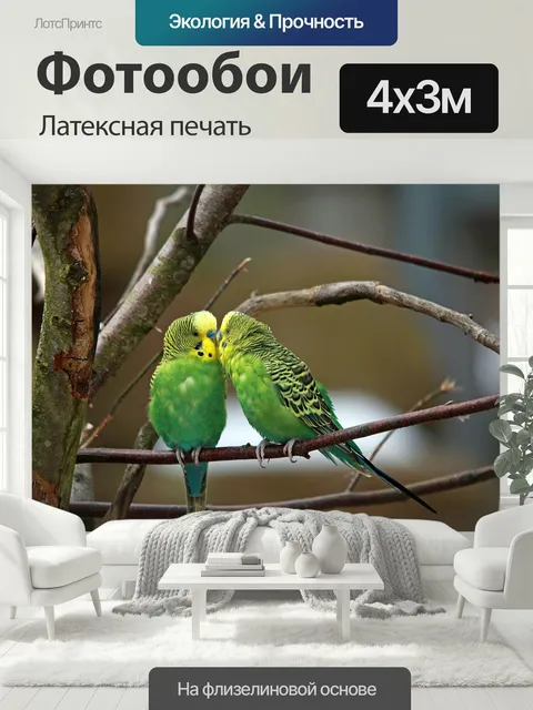 400 × 300 см · Латексная печать