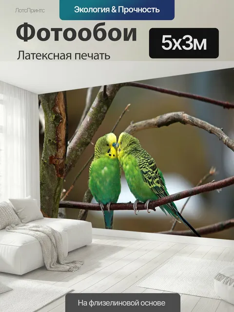 500 × 300 см · Латексная печать