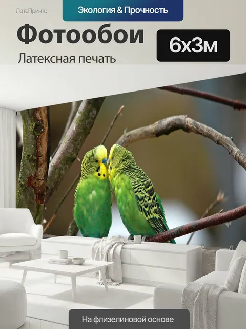 600 × 300 см · Латексная печать