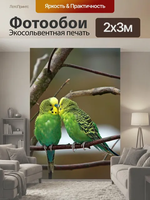200 × 300 см · Экосольвентная печать