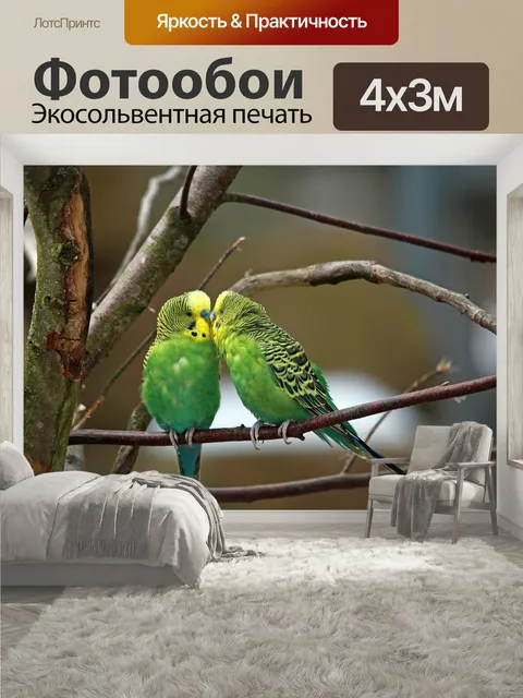 400 × 300 см · Экосольвентная печать
