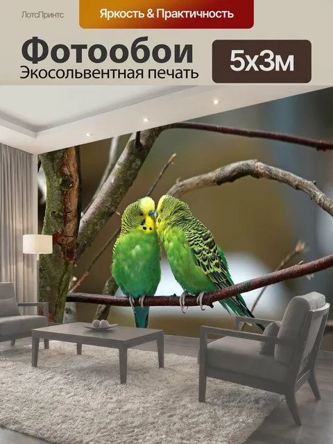 500 × 300 см · Экосольвентная печать