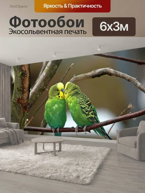600 × 300 см · Экосольвентная печать