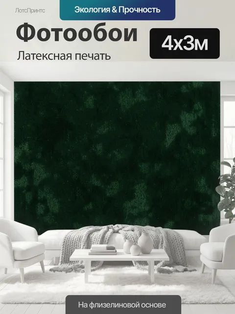 400 × 300 см · Латексная печать