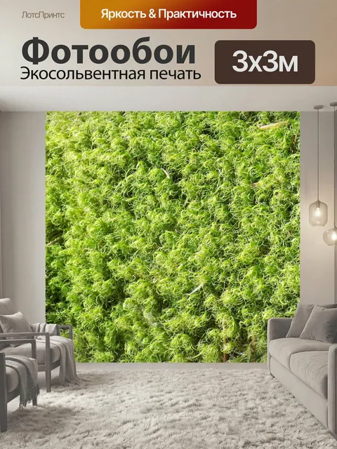 Фотообои Мох, жизнь, зеленый