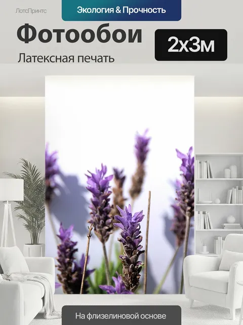 200 × 300 см · Латексная печать