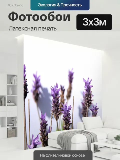 300 × 300 см · Латексная печать