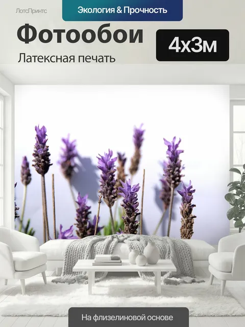 400 × 300 см · Латексная печать