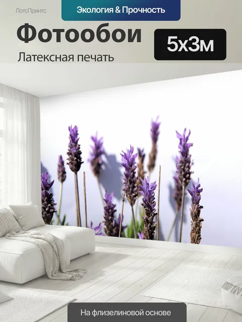 500 × 300 см · Латексная печать