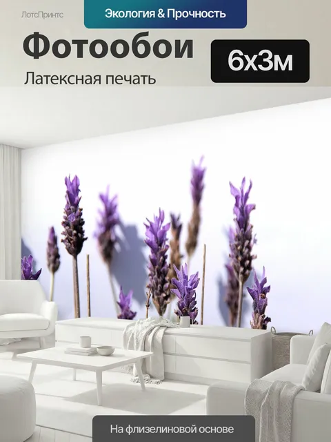 600 × 300 см · Латексная печать