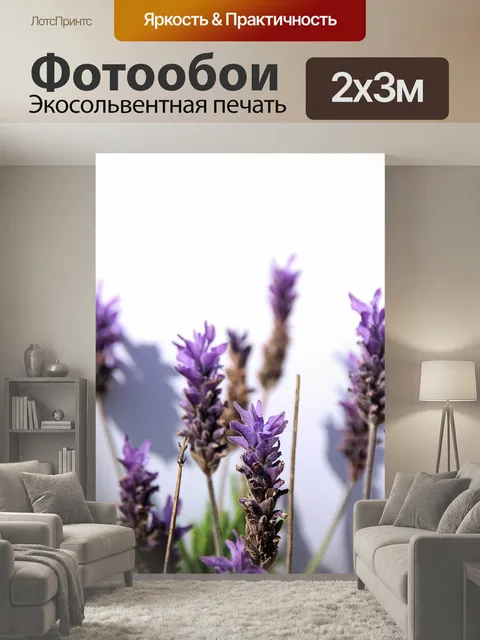 200 × 300 см · Экосольвентная печать