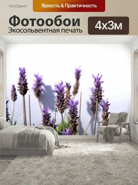 400 × 300 см · Экосольвентная печать