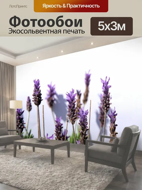 Фотообои Фиолетовые цветы лаванды на белом фоне пурпурный лаванда