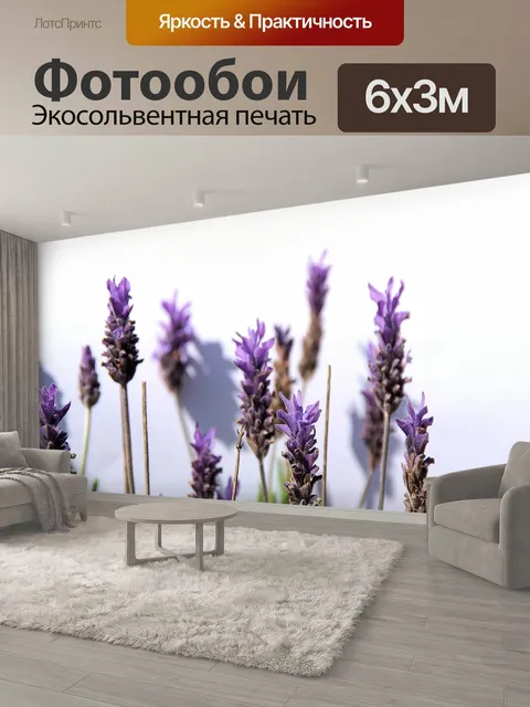 600 × 300 см · Экосольвентная печать