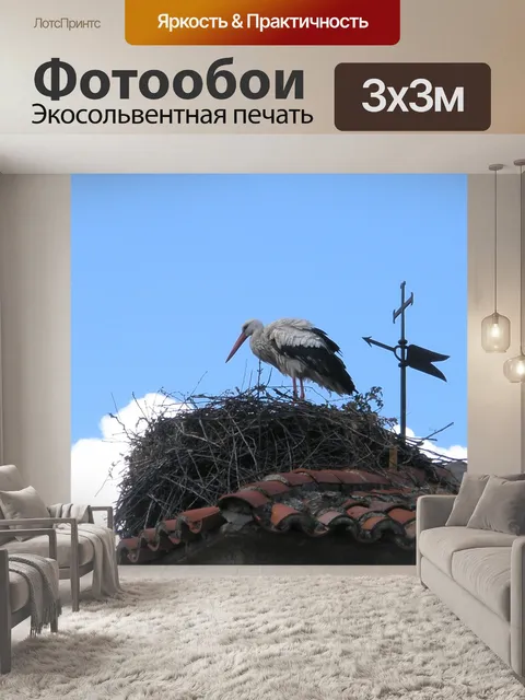 Фотообои Аист, белый аист, птицы