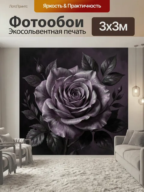 Фотообои Лиловая роза на тёмном фоне
