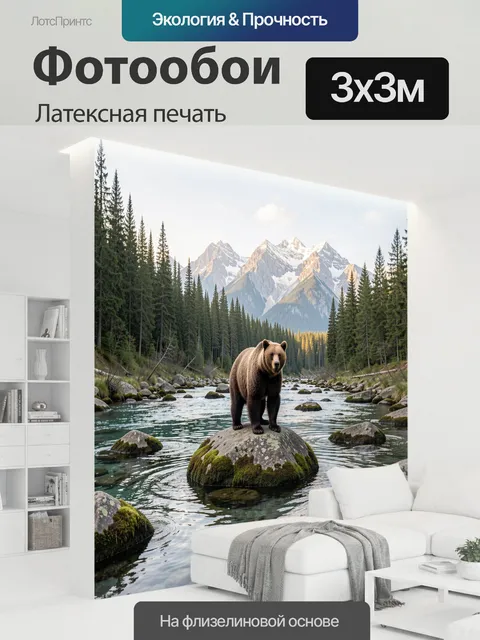 300 × 300 см · Латексная печать