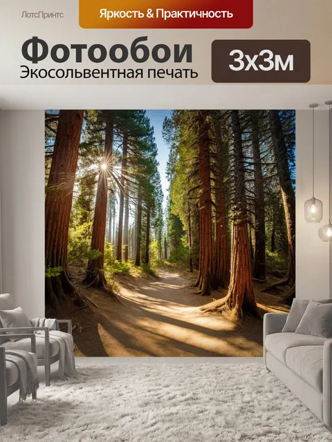Фотообои Лесная тропа, окруженная высокими соснами, ведущая к солнечному пляжу пицунды. лучи солнца пробиваются сквозь…