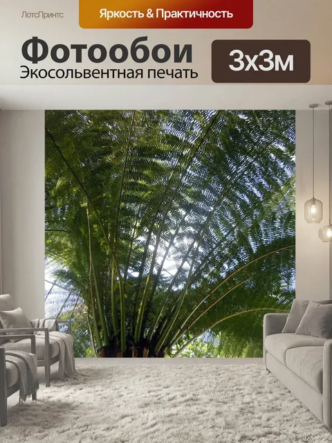 Фотообои Пальмовые листья, пальма, папоротник