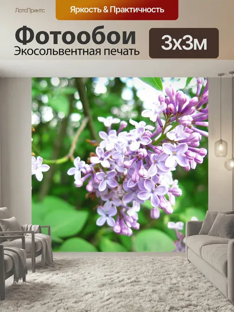 Фотообои Сирень, цветок, природа