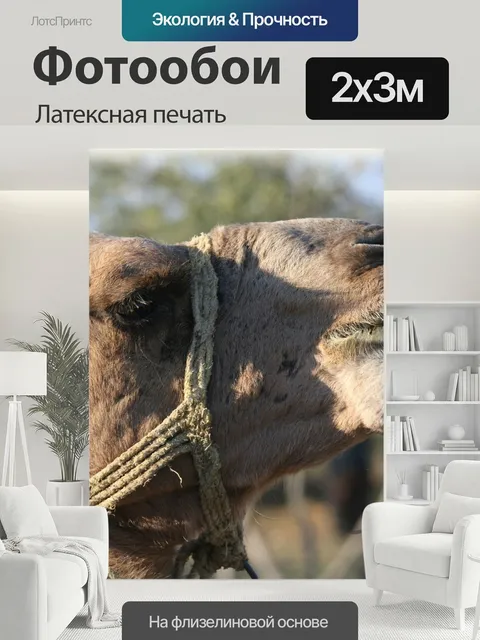 200 × 300 см · Латексная печать