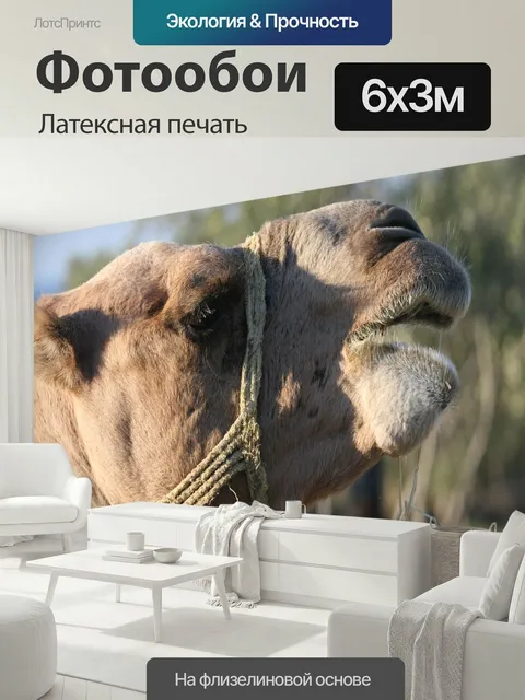 600 × 300 см · Латексная печать