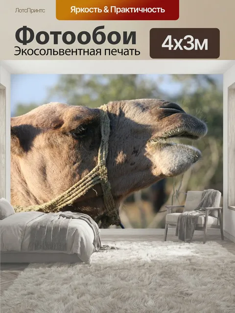 400 × 300 см · Экосольвентная печать