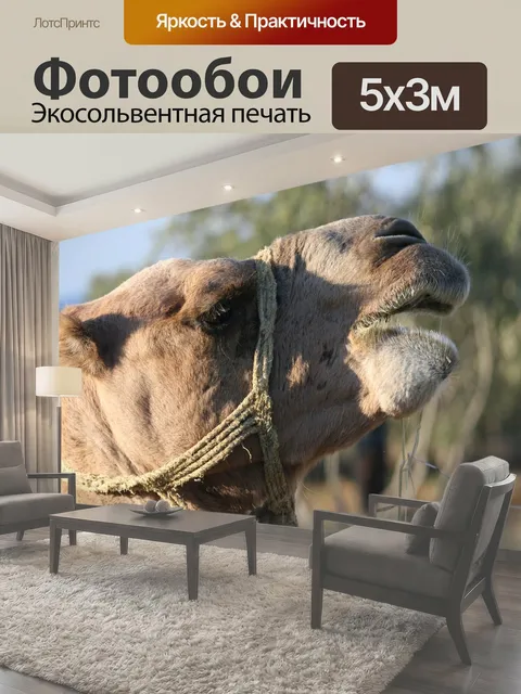 500 × 300 см · Экосольвентная печать