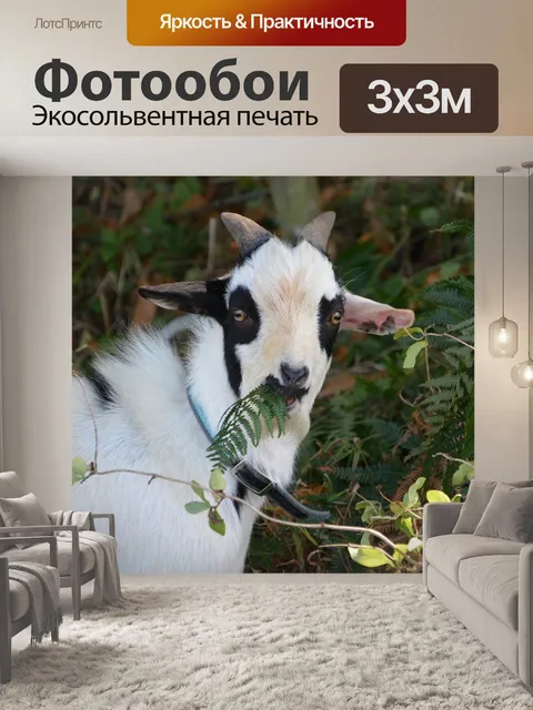 Фотообои Козел, черный белый, есть