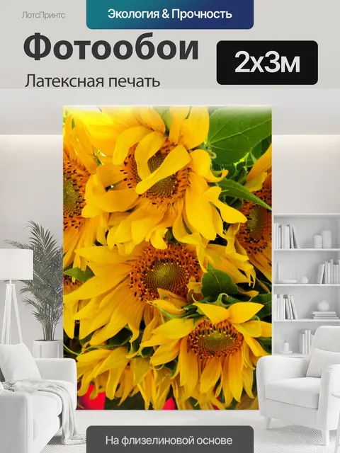 200 × 300 см · Латексная печать