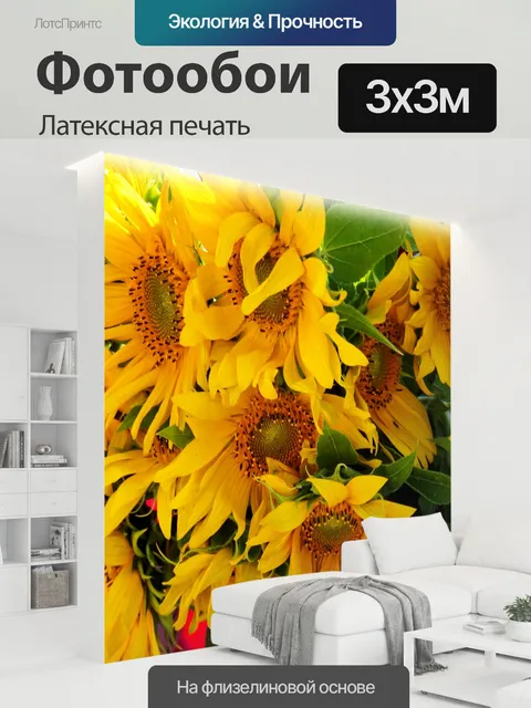 300 × 300 см · Латексная печать