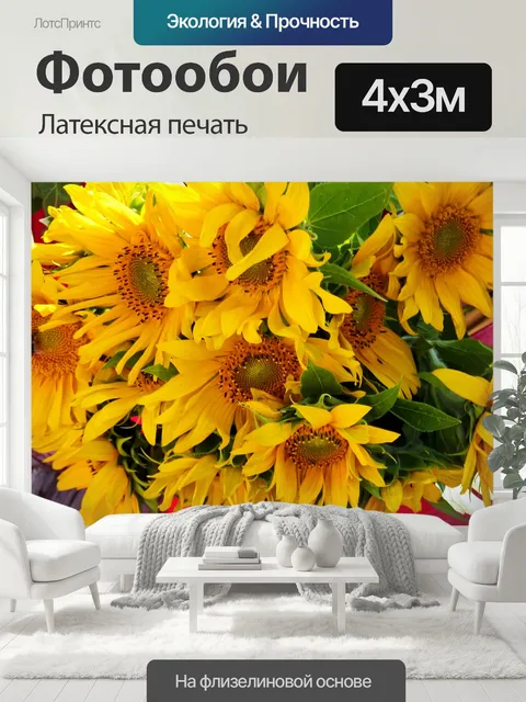 400 × 300 см · Латексная печать