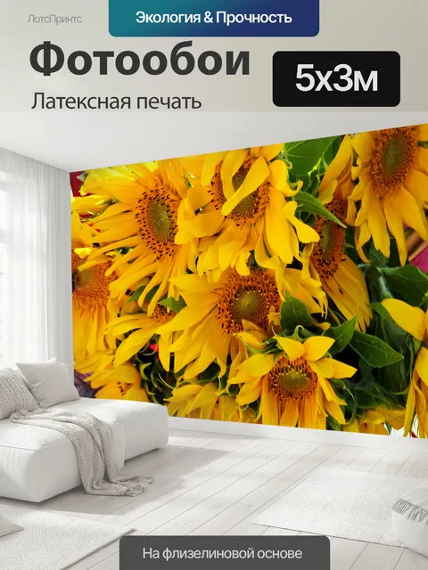 500 × 300 см · Латексная печать