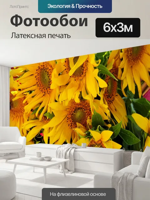 600 × 300 см · Латексная печать