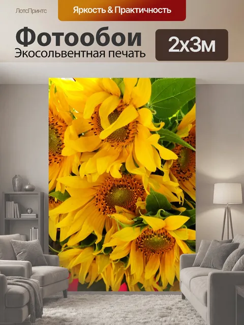 200 × 300 см · Экосольвентная печать
