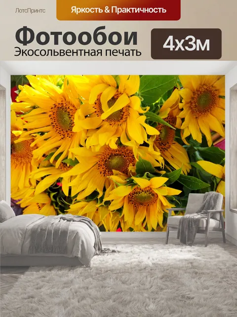 400 × 300 см · Экосольвентная печать