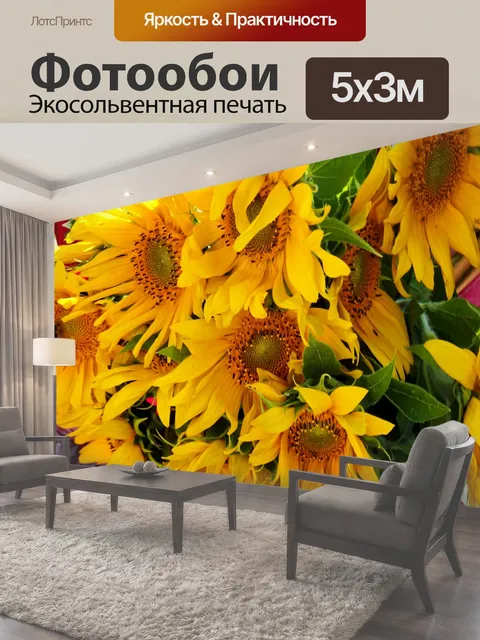 500 × 300 см · Экосольвентная печать