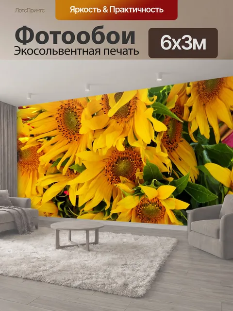 600 × 300 см · Экосольвентная печать