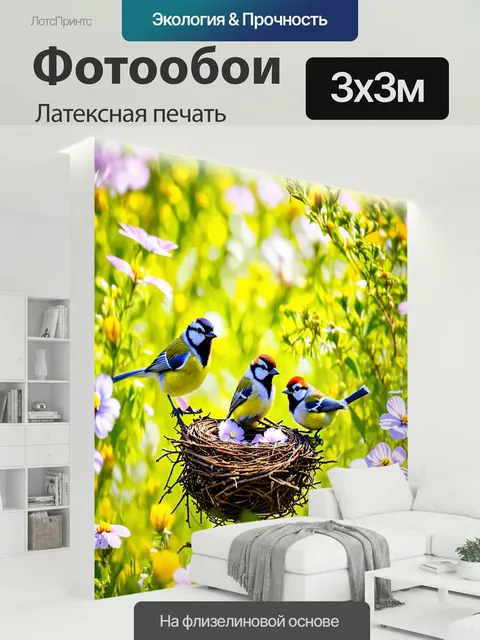 300 × 300 см · Латексная печать