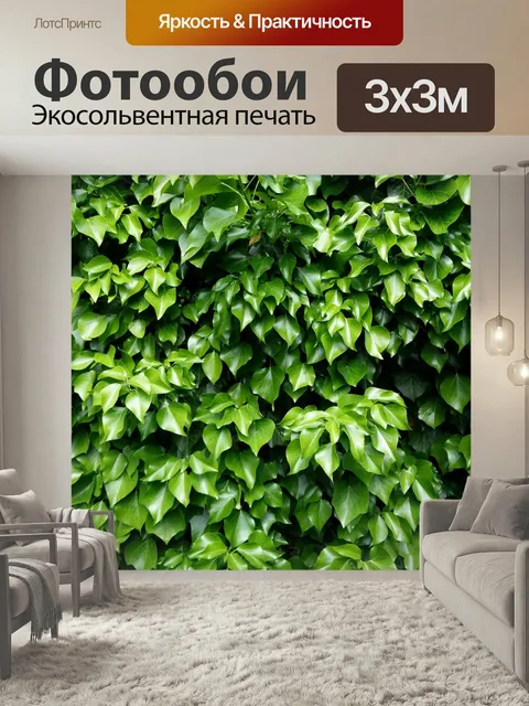 Фотообои Плющ, листья, зеленый