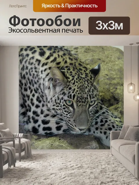Фотообои Леопард, животное, большой