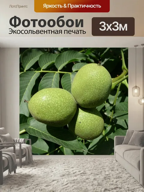 Фотообои Грецкий орех, орех, реальный орех