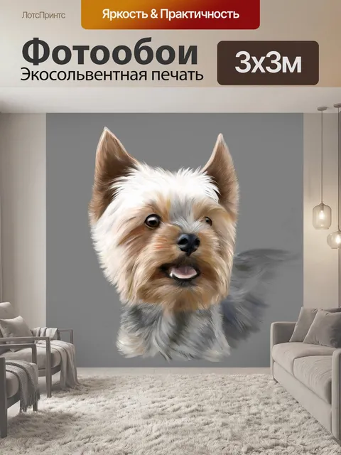 Фотообои Йоркширский терьер, терьер, собака
