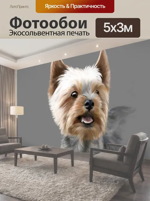 Фотообои Йоркширский терьер, терьер, собака